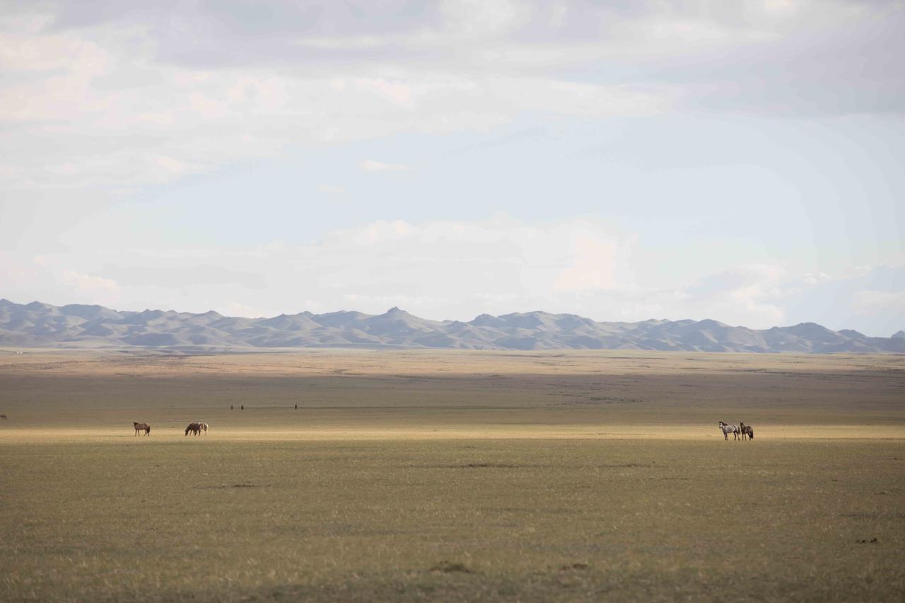 Gobi Mirage Lodge Dalandzadgad Exterior photo